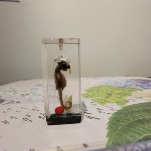 Seahorse Novelty